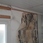 expert bâtiment construction rénovation fissures désordres malfaçons