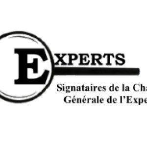 Charte générale expert SNEI