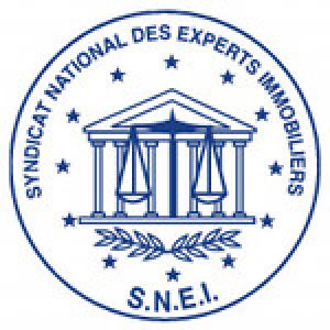 Syndicat National Experts Immobiliers SNEI