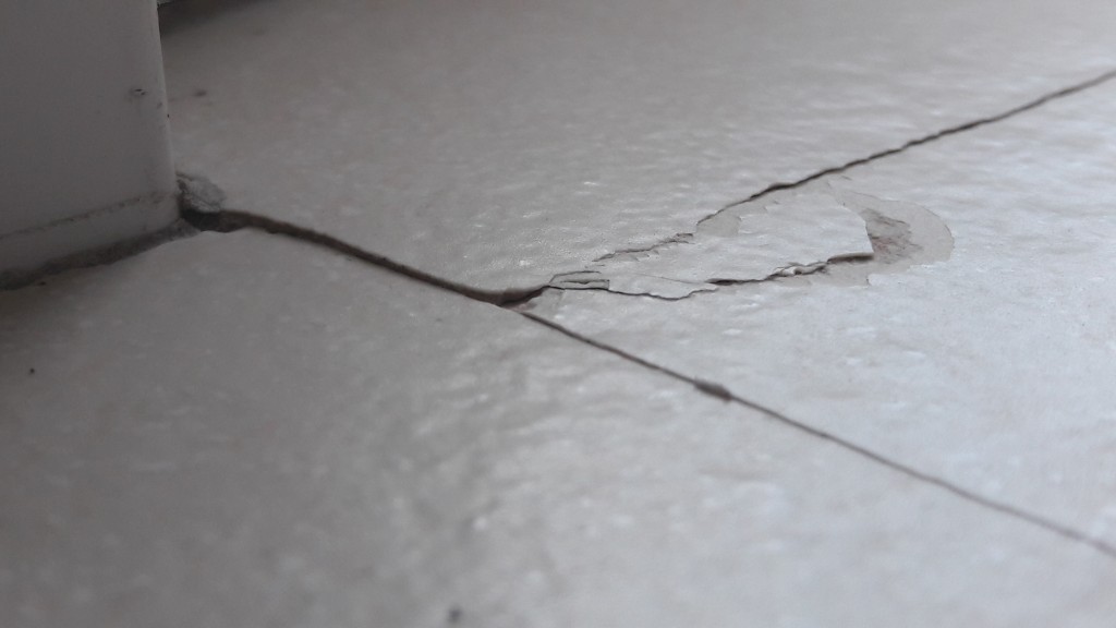Fissure carelage garantie décénnale