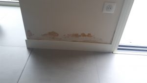 expert batiment construction independant