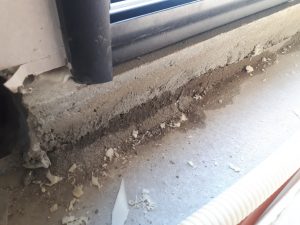 Expertise expert batiment construction batiment