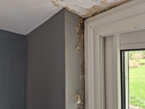 Infiltrations malfaçons désordres vice caché décennale assurance contre expertise CCMI Fissure fuite