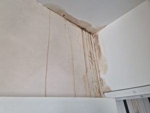 Experts Indépendants Bâtiment Vendée Sinistre Sècheresse Contre-expertise Assurance. fissures sur une maison. Malfaçons fissures sur maison. Vice caché Dégât des eaux Décennale Fissures Carrelage Bilan avant achat. La Roche-sur-Yon Vendée. fissures sur une maison. Spécialiste en expertises bâtiments 85