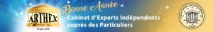 Expert Construction Batiment Arthex bonne annee