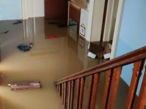 expertise contre expertises batiment construction degats de eaux