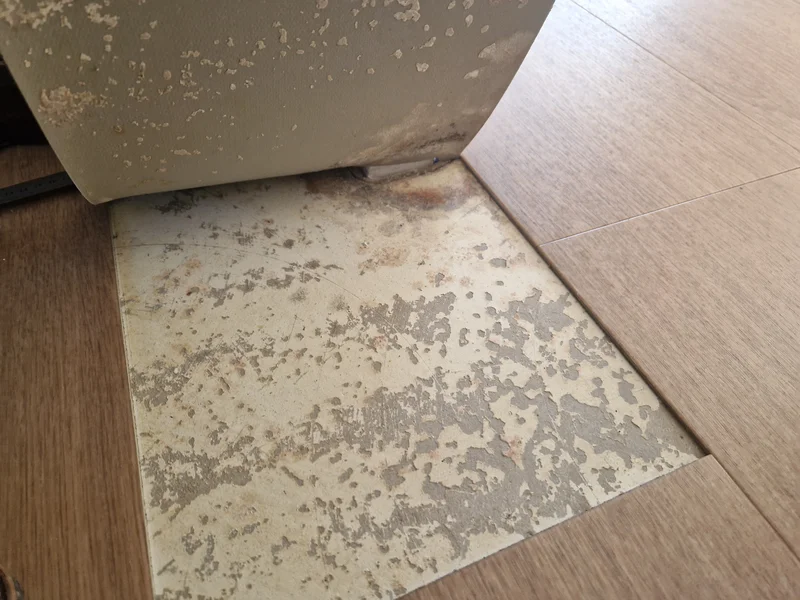 Expertise parquet