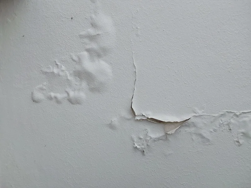 Expert malfaçon peinture