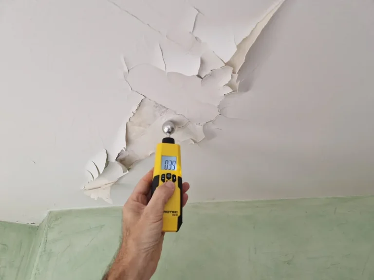 Expertise humidité logement à Vannes – Arthex 56