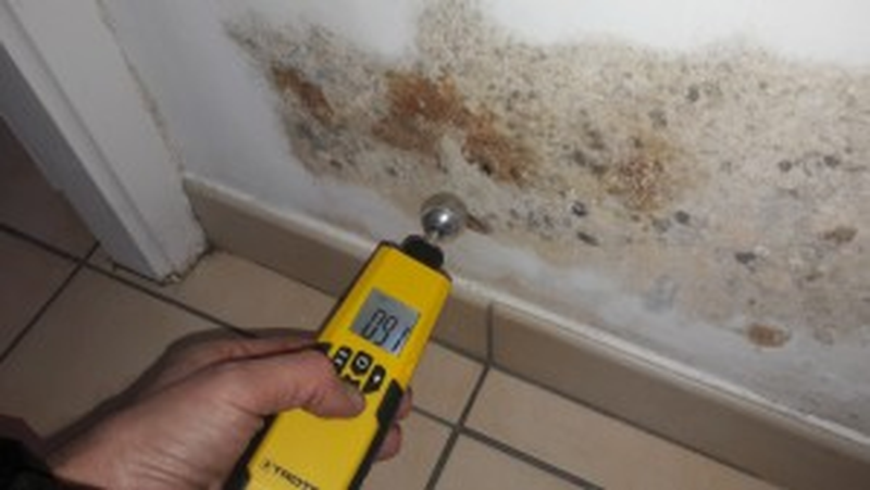 Diagnostic humidité maison